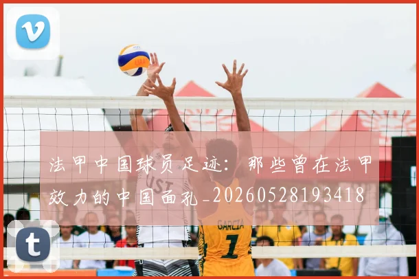法甲中国球员足迹：那些曾在法甲效力的中国面孔_20260528193418